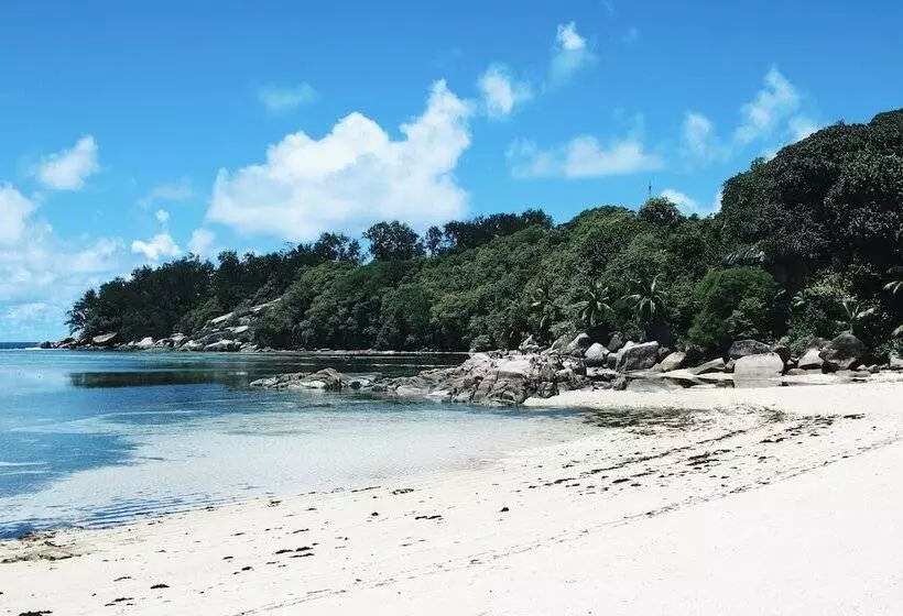 Fotos del hotel Crown Beach:  15