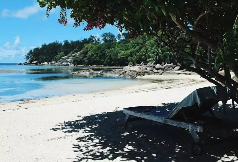 Fotos del hotel Crown Beach:  12