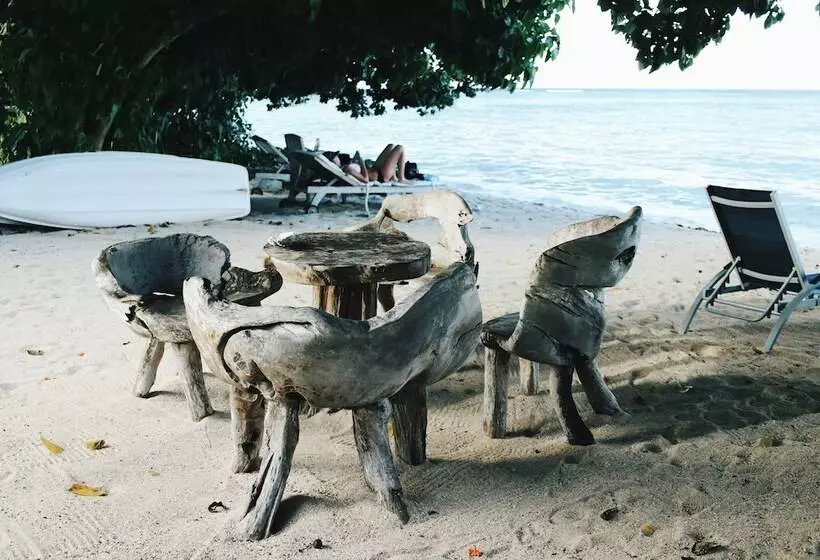 Fotos del hotel Crown Beach:  3