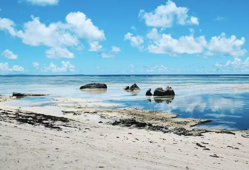 Fotos del hotel Crown Beach:  13