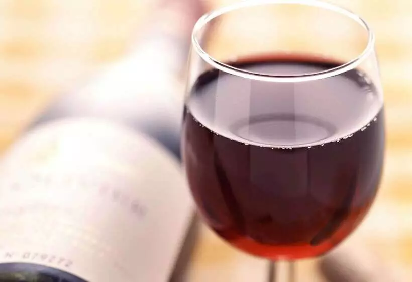 Fotos del hotel Ibis Rio De Janeiro Santos Dumont:  6