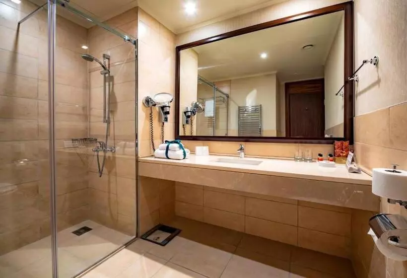 Fotos del hotel Tiflis Palace:  11