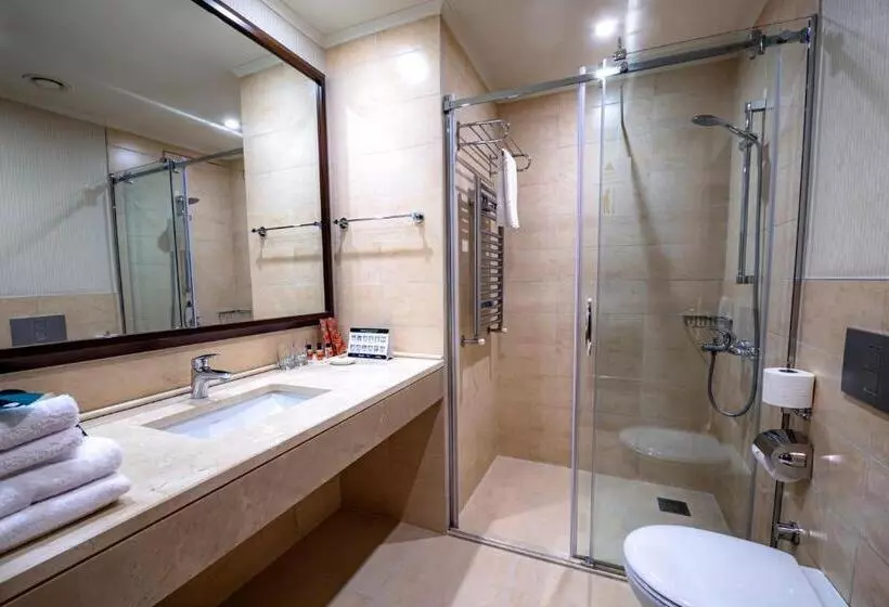 Fotos del hotel Tiflis Palace:  14