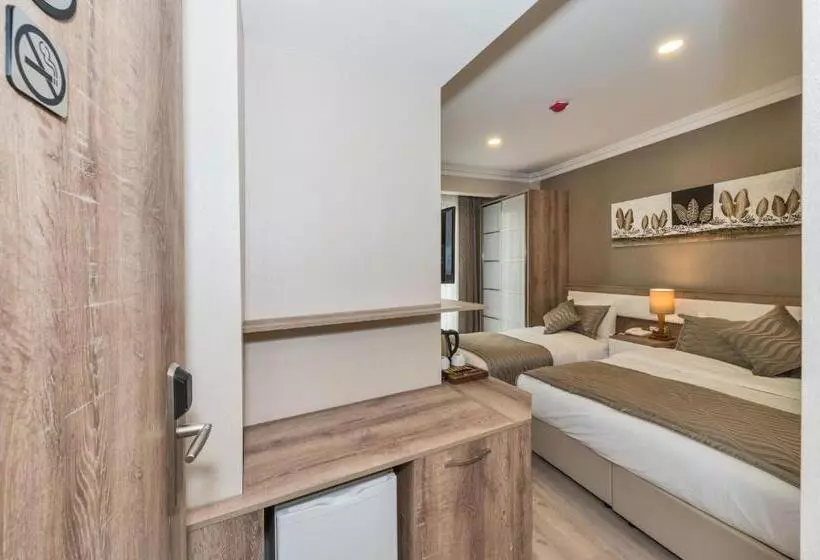 Fotos del hotel Alphonse:  22