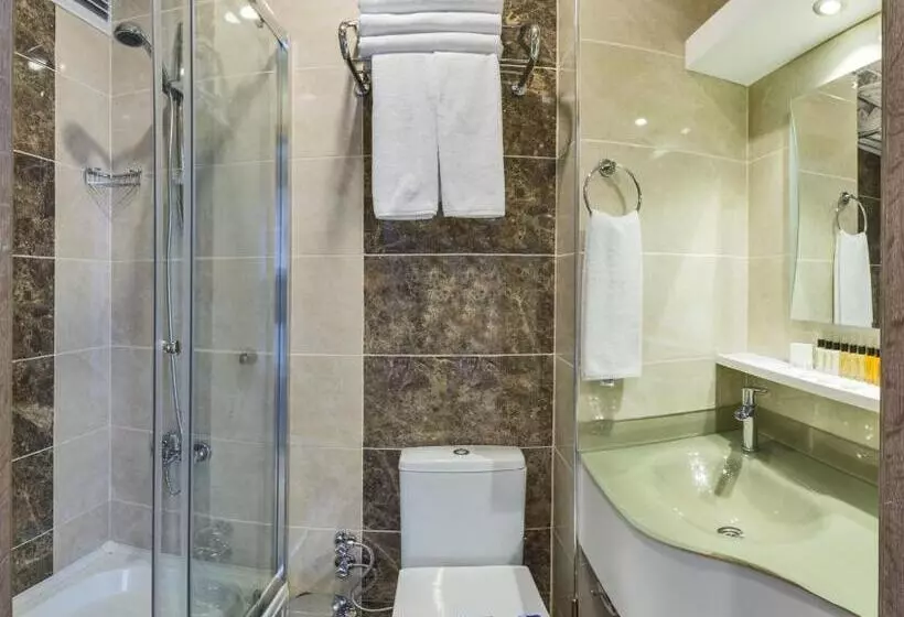 Fotos del hotel Alphonse:  4