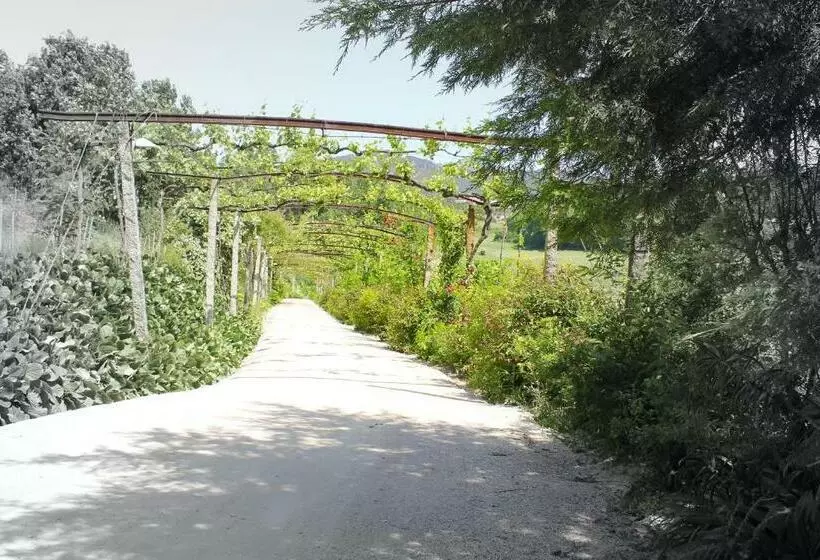 Fotos del hotel Lousada Country:  10