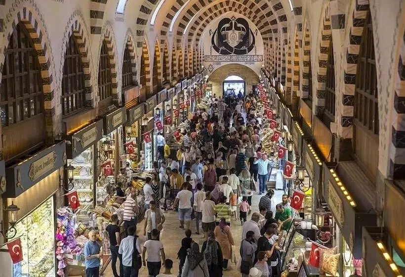 Fotos del hotel Gumus Palace:  7