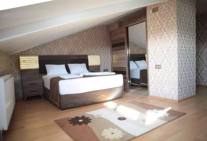 Fotos del hotel Gumus Palace:  14