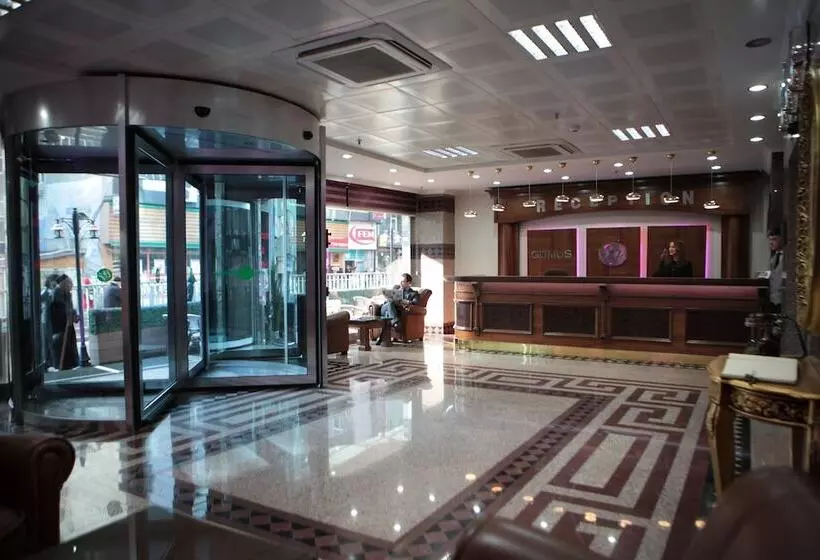 Fotos del hotel Gumus Palace:  2