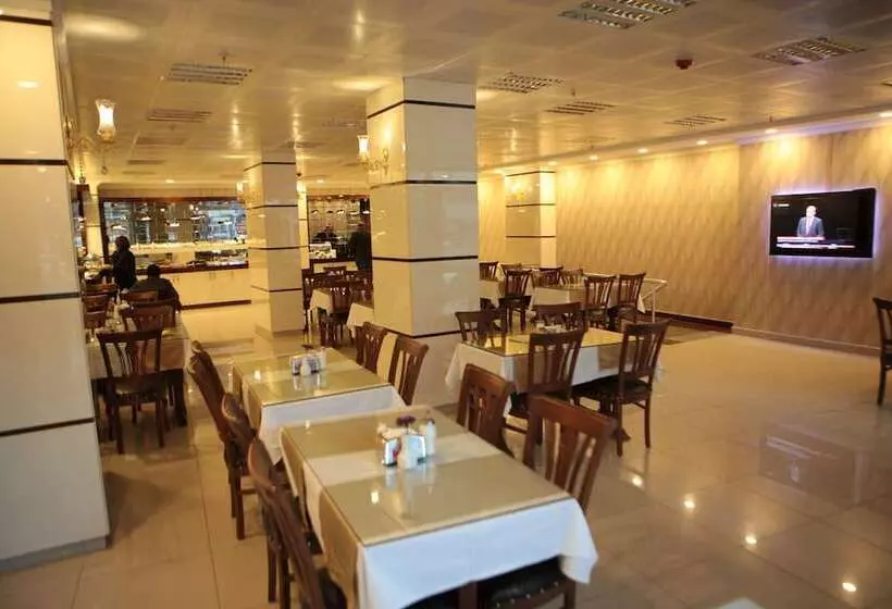 Fotos del hotel Gumus Palace:  4