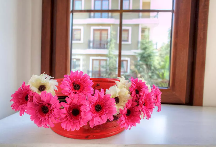 Fotos del hotel Selection Premium:  13