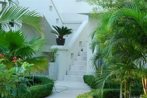 Fotos del hotel Akamai Village:  3