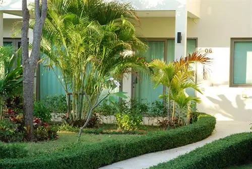 Fotos del hotel Akamai Village:  6