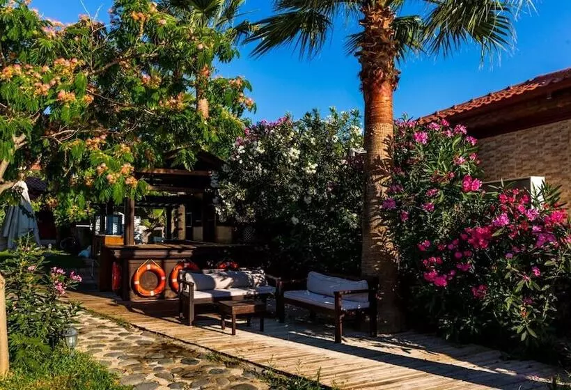 Fotos del hotel Palmetto Resort:  6