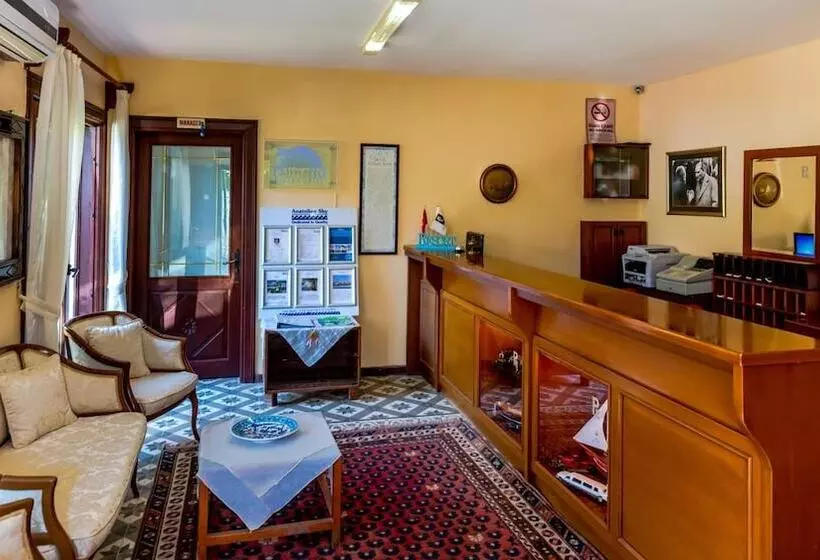 Fotos del hotel Palmetto Resort:  25