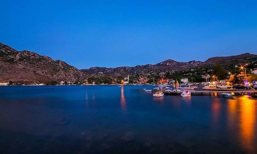 Fotos del hotel Palmetto Resort:  7