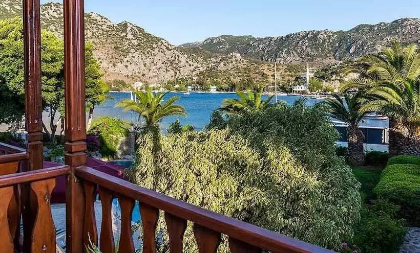 Fotos del hotel Palmetto Resort:  10