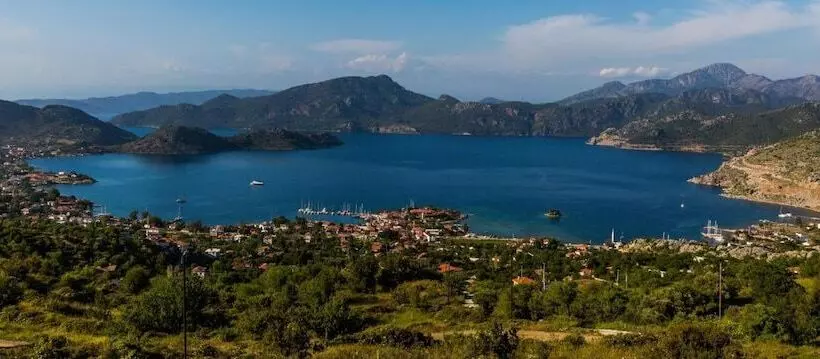 Fotos del hotel Palmetto Resort:  4