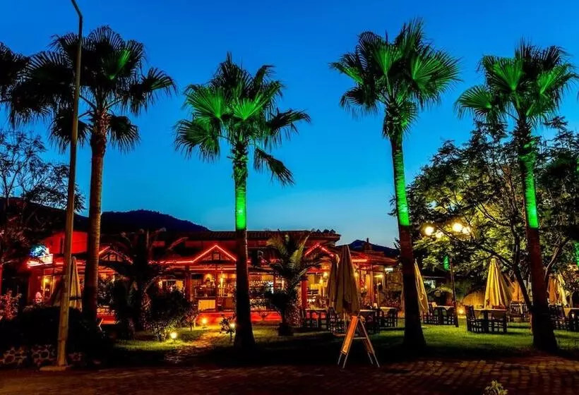 Fotos del hotel Palmetto Resort:  22