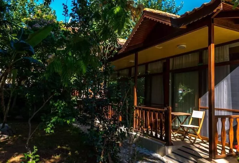 Fotos del hotel Palmetto Resort:  23