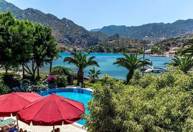 Fotos del hotel Palmetto Resort:  11