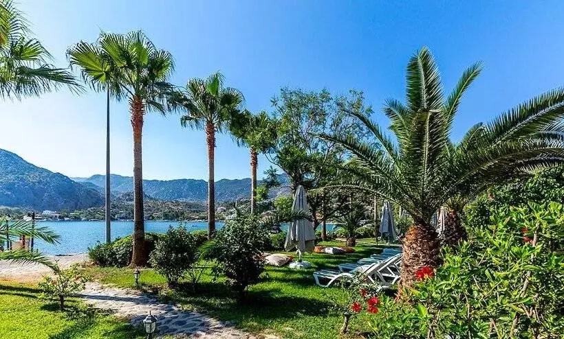 Fotos del hotel Palmetto Resort:  12