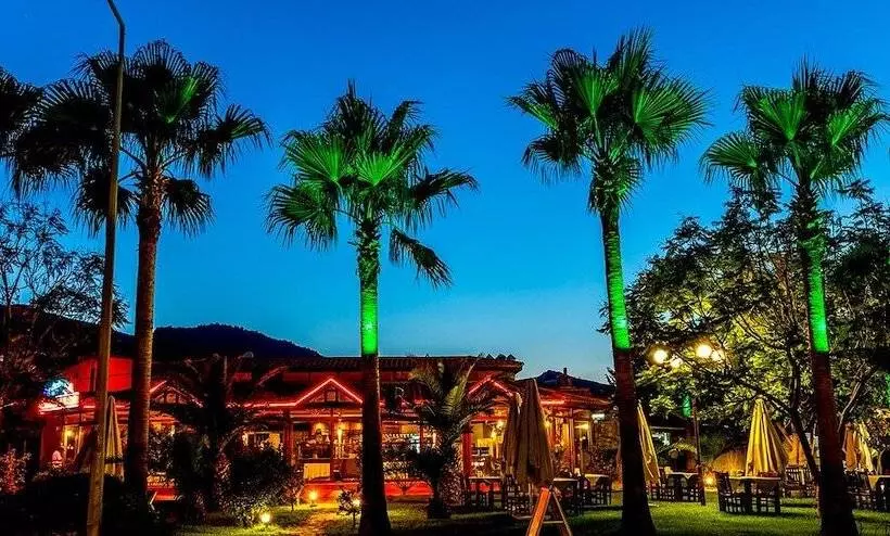 Fotos del hotel Palmetto Resort:  24