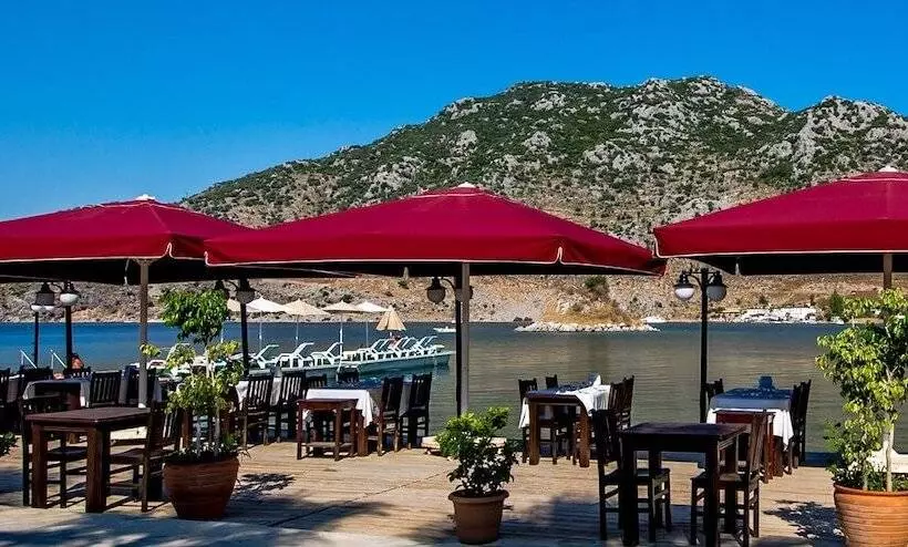 Fotos del hotel Palmetto Resort:  8