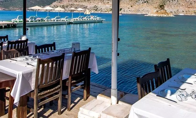 Fotos del hotel Palmetto Resort:  20