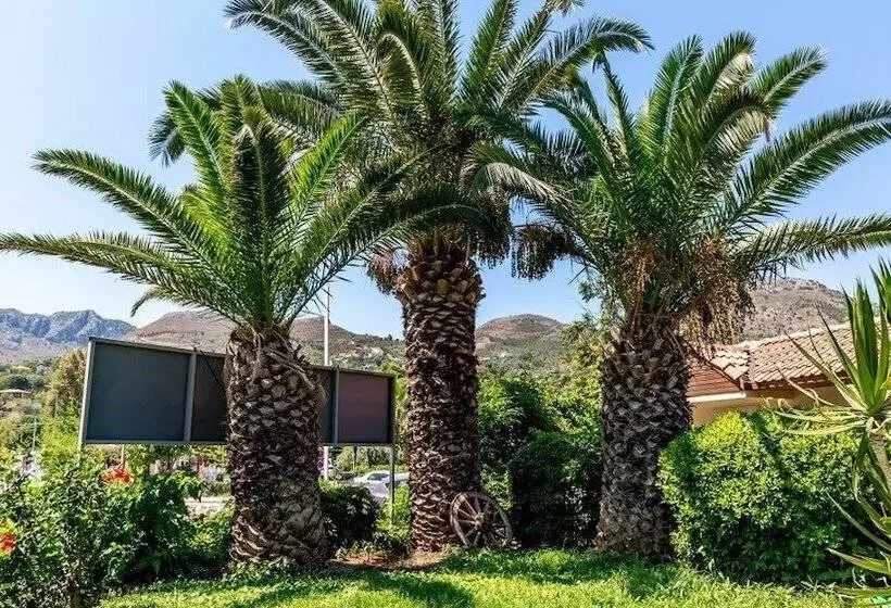 Fotos del hotel Palmetto Resort:  19