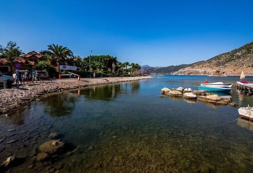 Fotos del hotel Palmetto Resort:  16