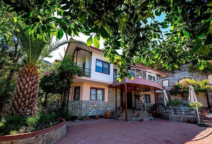 Fotos del hotel Palmetto Resort:  14