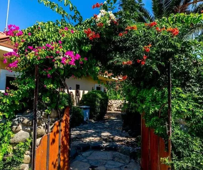 Fotos del hotel Palmetto Resort:  9