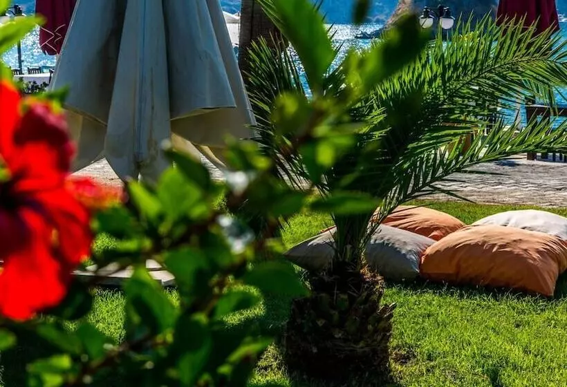 Fotos del hotel Palmetto Resort:  17