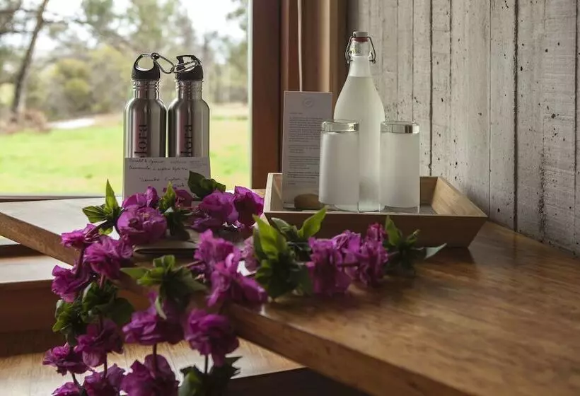 Fotos del hotel Explora Rapa Nui  All Inclusive:  18