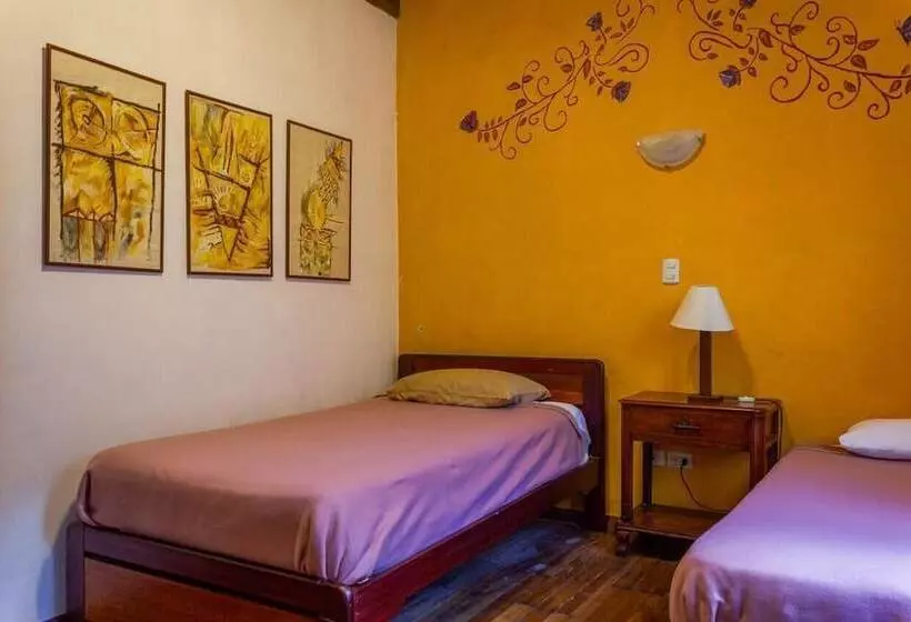 Fotos del hotel Casa De Las Rosas:  14