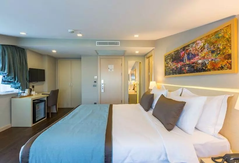 Fotos del hotel Molton Monapart Mecidiyekoy:  12