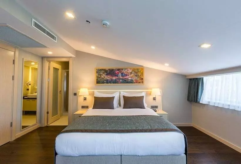 Fotos del hotel Molton Monapart Mecidiyekoy:  13