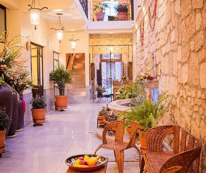 Fotos del hotel Rosa Barroco:  14