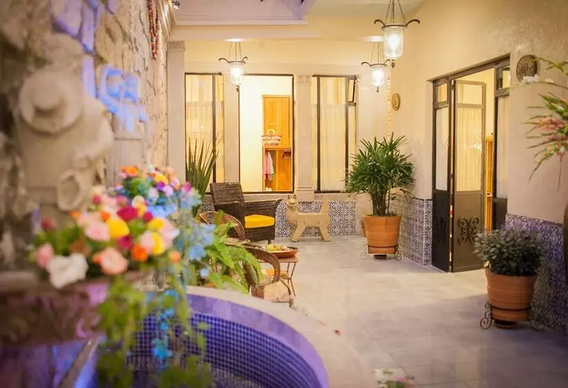 Fotos del hotel Rosa Barroco:  2