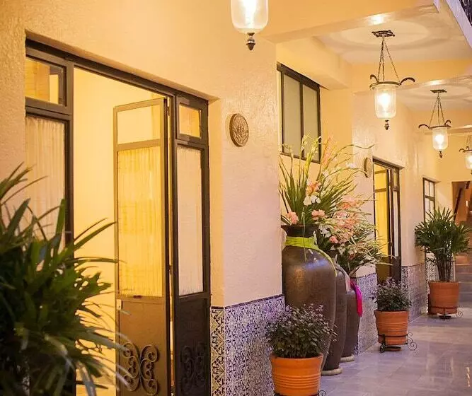 Fotos del hotel Rosa Barroco:  16