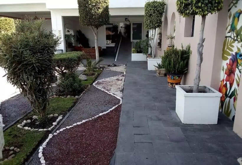 Fotos del hotel Arcada:  14