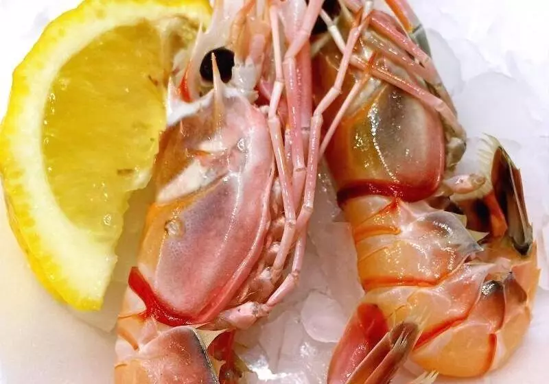 Fotos del hotel Coronation:  25