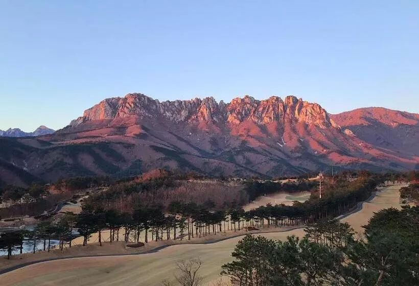 Fotos del hotel Delpino:  22