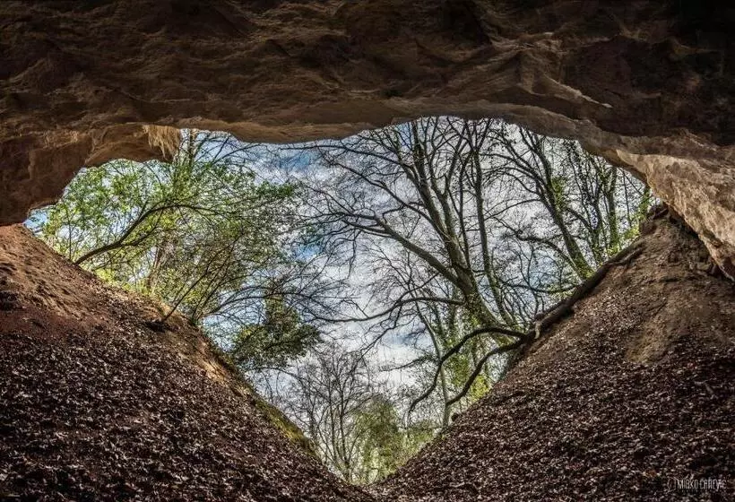 Fotos del hotel Premier Aqua  Adults Only:  9