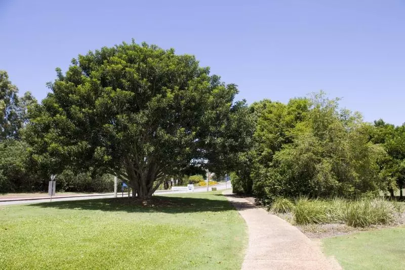 Fotos del hotel Gladstone Downtown Central Apartment:  8