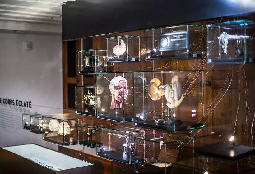 Fotos del hotel Monastère Des Augustines:  19