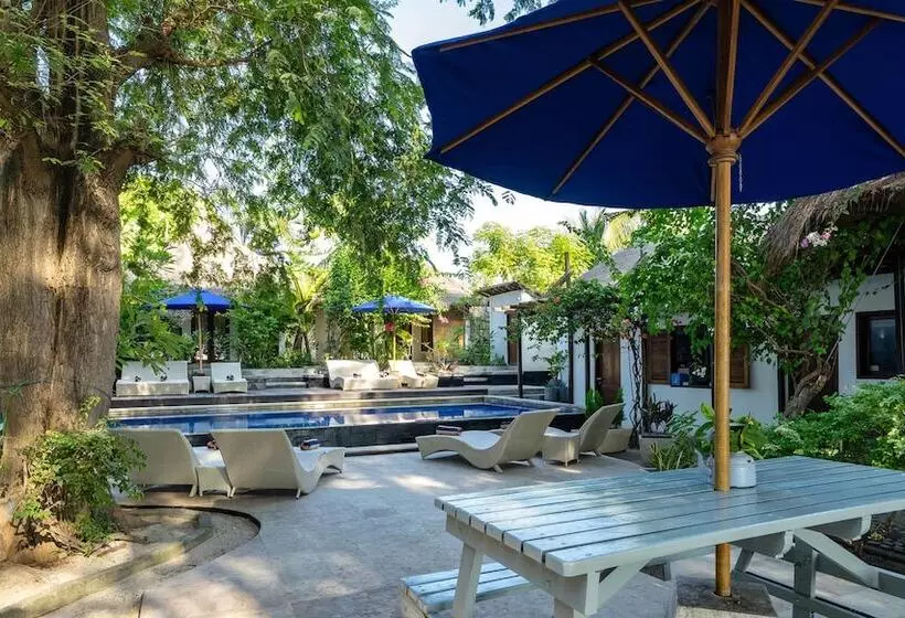 Fotos del hotel Samba Villas Beachfront View:  15