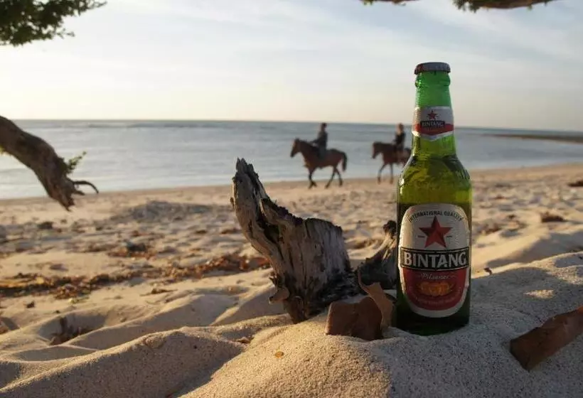 Fotos del hotel Samba Villas Beachfront View:  17