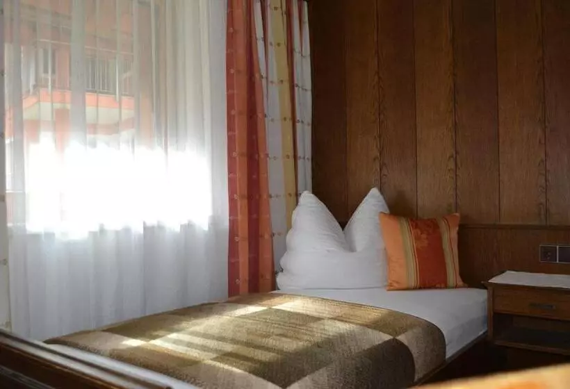 Fotos del hotel Pension Bergsee:  5